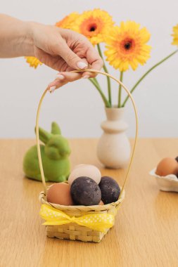 A woman holds a basket of Easter eggs over a wooden table. The concept of Happy Easter. clipart