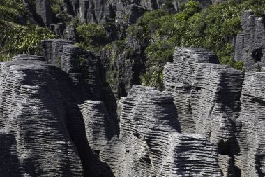 Punakaiki, Yeni Zelanda 'da Krep Kayaları. Paparoa Milli Parkı 'nda kireçtaşı oluşumu.