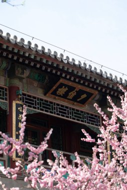 İlkbaharda kiraz çiçekleriyle geleneksel Çin mimarisi. Seyahat kavramı