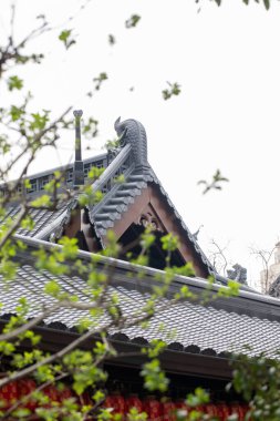 Doğadaki geleneksel Asya tapınağı çatısında karmaşık mimari detaylar var. Çin kavramı