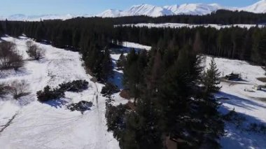 Taze kar, yüksek çam ağaçları ve görkemli dağlarla dolu görkemli bir kış manzarasının çarpıcı hava manzarası. Seyahat kavramı