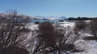 Kış ormanı ve Yeni Zelanda 'daki Tekapo Gölü üzerinde uçuş. Seyahat, doğa konsepti..