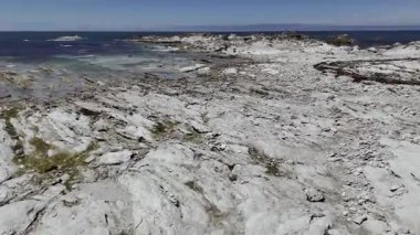 Kaikoura, Yeni Zelanda 'da kuşlar ve foklarla kayalık kıyılarda uçuyorlar. Vahşi yaşamı koruma konsepti, seyahat.
