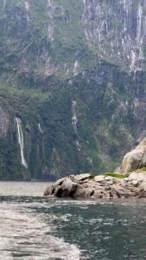 Sudan gelen şelalenin resimli görüntüsü. Milford Sound, Fiordland Ulusal Parkı, Güney Adası, Yeni Zelanda 'da tekne gezisi..