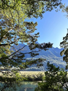 Berrak mavi gökyüzü ve yemyeşil verimli dağ manzarası. Seyahat kavramı