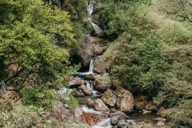 Huzurlu orman şelalesi, yemyeşil, sakin ve doğal bir ortamda akıyor. Yeni Zelanda