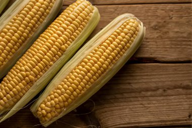 Kırsal ahşap arka planda üç mısır zea mays. en üstteki görünüm.