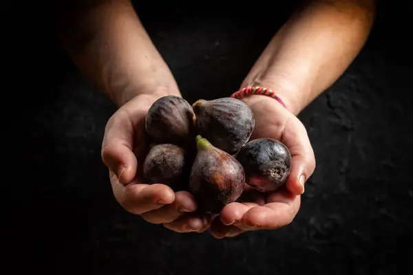 Karanlık arka planda loş ışıkla bir avuç inciri tutan eller.