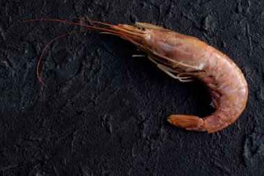 Koyu arkaplanda vahşi karides