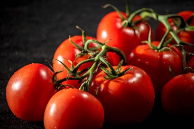 Sarmaşıkta, parlak su damlalarıyla birlikte koyu bir yüzeyde taze kırmızı domatesler..