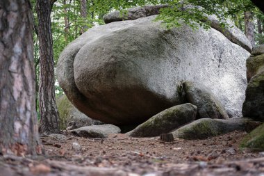 Devil's Ass - Big Stone, Czech Canada Reservation, Czech Republic