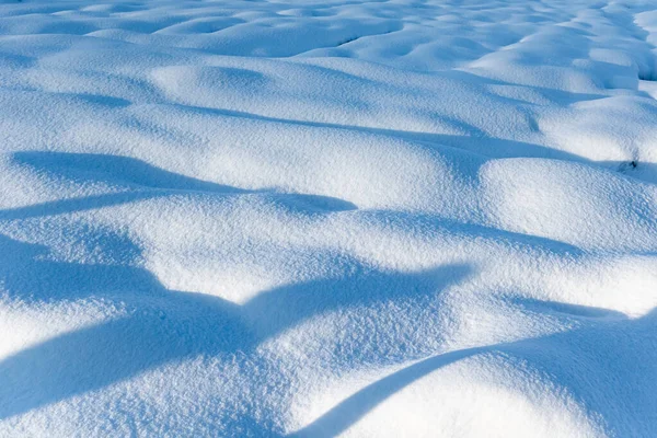 Snow on field - winter background. Lights and shadows on snow dunes.