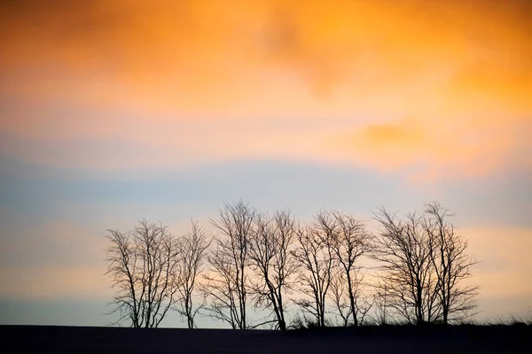 Vinter Soluppgång Himmel Med Orange Och Blå Färger Med Träd — Stockfoto
