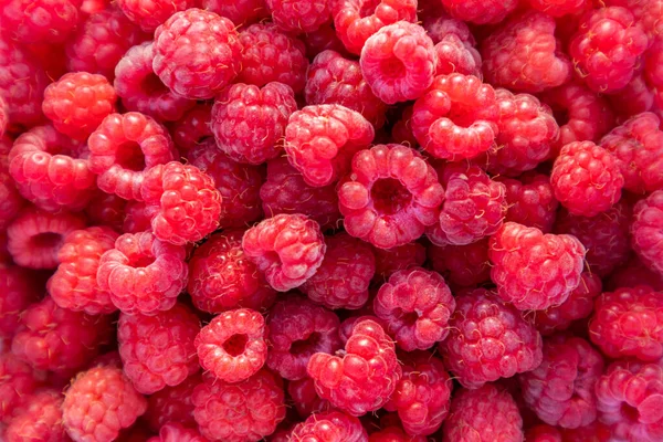 Tumpukan Raspberry Liar Detail Raspberry — Stok Foto