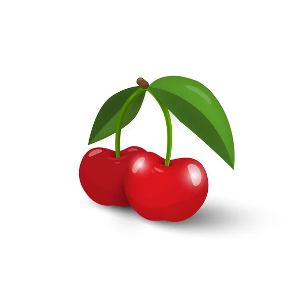 Cherry Ilustrace Čerstvé Třešně Izolované Bílém Pozadí — Stockový vektor