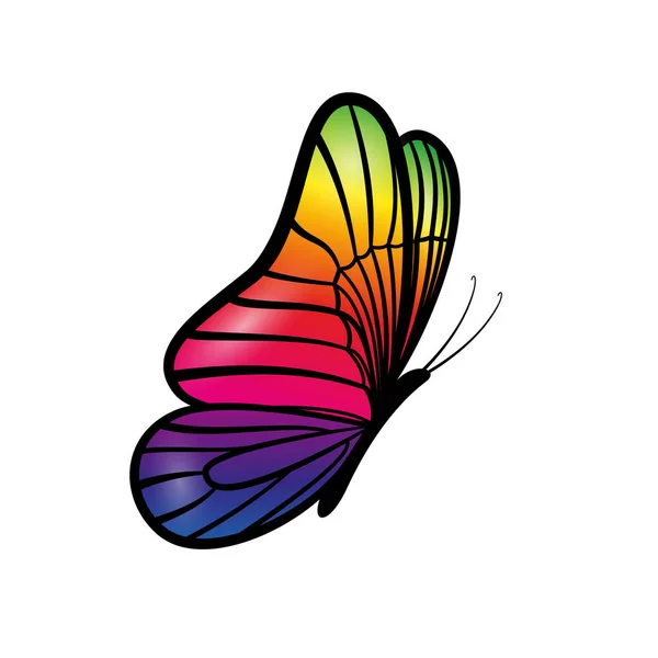 Profil Papillon Insecte Coloré Isolé Sur Fond Blanc Vecteur — Image vectorielle