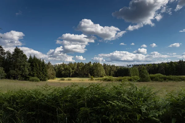 捷克加拿大公园 南波希米亚 田野上空的云彩 夏季风景 — 图库照片