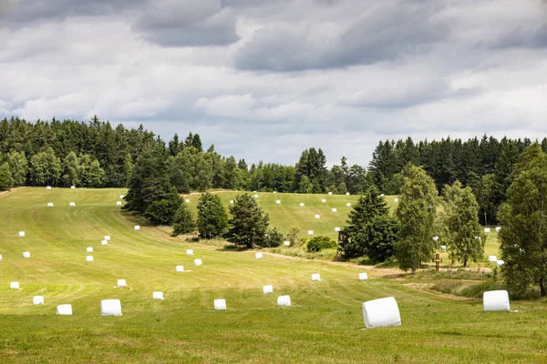 捷克加拿大 用白色稻草包起来的空地 — 图库照片