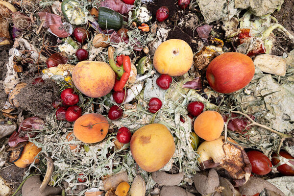 Composting on garden - top view compost detail