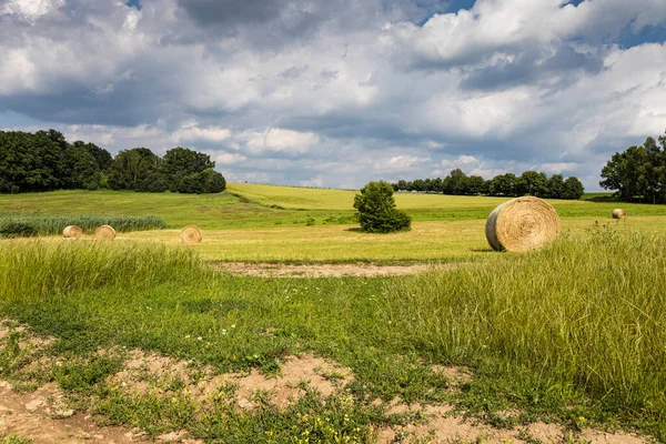 Summer Field Bales Meadow Clouds Sky — Stock Photo, Image