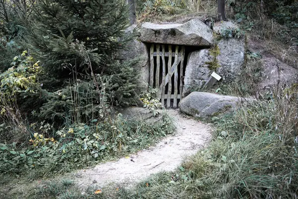 Esrarengiz Ahşap Kapılar Ormandaki Taşlar Patikalar Planda — Stok fotoğraf