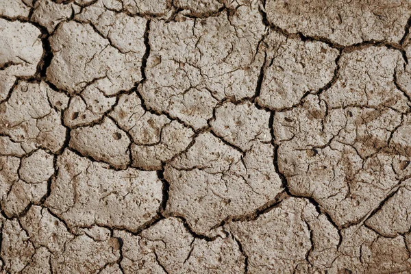 Cracked Soil Dry Mud Top View — Stock Photo, Image
