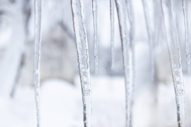 Bulanık arka planda evleri olan buz saçakları