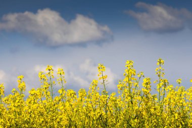 Mavi gökyüzünde bulutlu tecavüz alanı