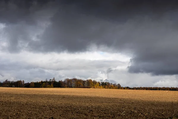 Важкі Хмари Над Осіннім Оранжереєю — стокове фото
