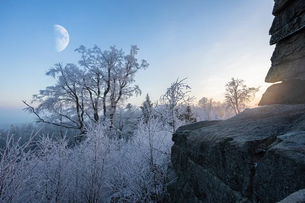 Evening frozen winter landscape with rock and frozen trees