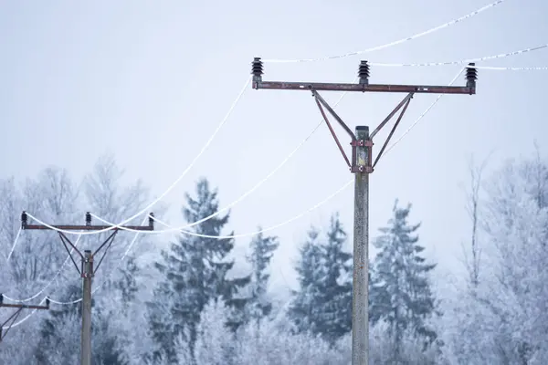 背靠冰冻电线和森林的复式电线杆 — 图库照片#