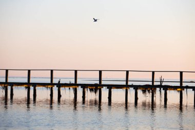 Gökyüzünde martı, arka planda tekne, Grado, İtalya, Avrupa 'da batan deniz iskelesi.