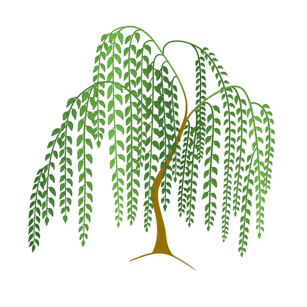 Yeşil ağaçlar dizildi, vektör çizimi. Şekillendirilmiş orman ağacı koleksiyonu