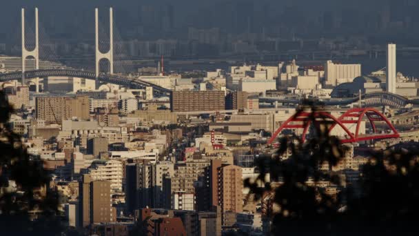 Αργά Απόγευμα Time Lapse Της Ανατολικής Πλευράς Της Kobe City — Αρχείο Βίντεο