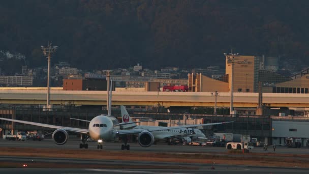 大阪府豊中市 2022年11月28日 大阪国際空港での日本航空ボーイング787型機のタクシー — ストック動画