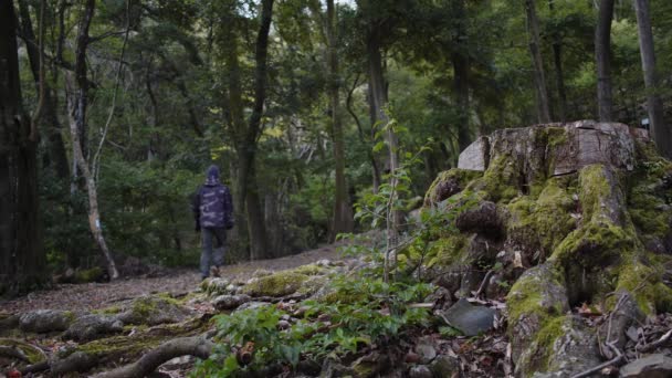 Medelålders Kaukasier Som Bär Kamouflagekläder Och Vandrar Minoh Park Osaka — Stockvideo