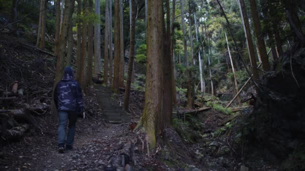 Hombre Caucásico Mediana Edad Haciendo Senderismo Minoh Park Prefectura Osaka — Vídeo de stock