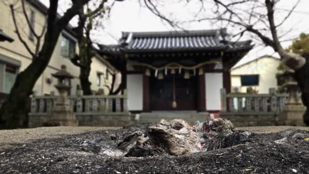 Fire Burning Previous Years Good Luck Charms Smoulders Hyogo Prefecture — Vídeo de Stock