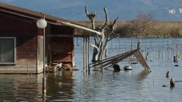 Ein Verlassenes Und Teilweise Überflutetes Haus Umgeben Von Enten Und — Stockvideo