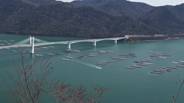 Camas Ostras Lado Del Puente Bizen Nissei Okayama Conectando Isla — Vídeo de stock