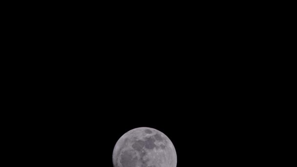 Time Lapse Full Moon Rising Clear Sky Kuranda Far North — Video Stock