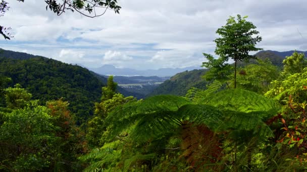 Blick Auf Die Stadt Cairns Vom Wrights Lookout Barron Gorge — Stockvideo