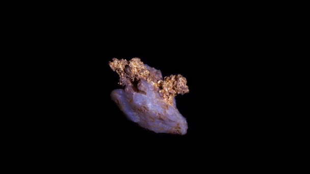 オーストラリアのビクトリア州のサンゴ礁の金の映像をズーム 石英に埋め込む — ストック動画