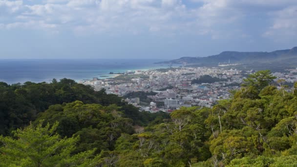 Vysoký Úhel Pohledu Nago City Okinawa Prefektura Japonsko Hustou Vegetací — Stock video