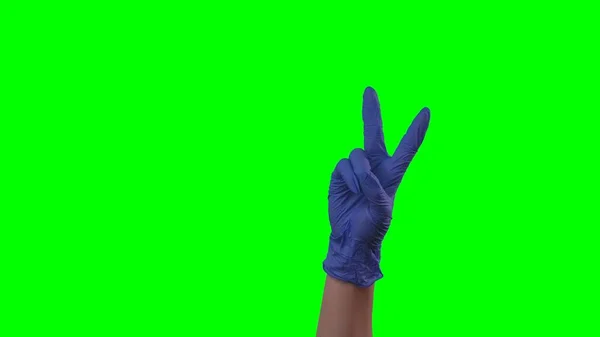 2本の指の勝利ジェスチャーを示す青い手袋をした女の手 喜びをジェスチャー保護手袋の医師の腕 緑の画面の背景で閉じる — ストック写真