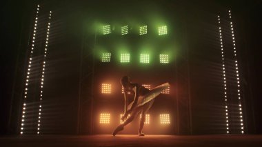 Beyaz kuğu şeklinde bir balerin silueti dumanın ve sahne ışıklarının arka planına karşı yumuşak yeşil ışıkla dans ediyor. Balerin etekli ve noktalı dans eden kadın karanlıkta zarifçe dans ediyor.