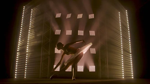 芭蕾舞演员的轮廓 以白天鹅舞蹈芭蕾舞元素的形式呈现 背景是烟雾弥漫 聚光灯柔和 白光柔和 穿着燕尾服的女人在黑暗中优雅地跳舞 — 图库照片