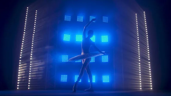 芭蕾舞演员的轮廓 以白色天鹅的形式 在烟雾弥漫的背景下和柔和蓝光的聚光灯下跳芭蕾舞 穿着燕尾服的女人在黑暗中优雅地跳舞 — 图库照片