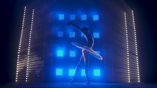 Silueta Bailarina Forma Cisne Blanco Bailando Elementos Ballet Sobre Fondo — Foto de Stock