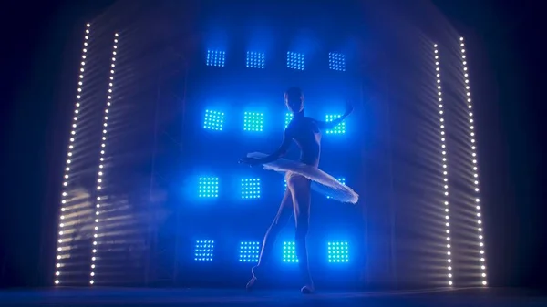 Silhouette Ballerina Form White Swan Dancing Ballet Elements Background Smoke — Stock Photo, Image